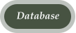 Database